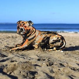 Staffy dog sculpture by Christian Nicolson