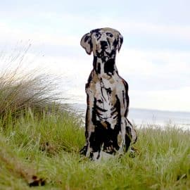 Waimarana dog sculpture by Christian Nicolson