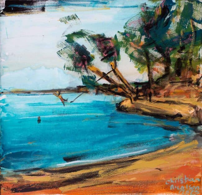 The Cove